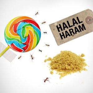 halal_haram_by_tienra